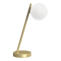 ONLI - Bordlampe PALOMA 1xG9/10W/230V 38,5 cm guldfarvet