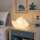 ONLI - Bordlampe PORCELLANA 1xE14/6W/230V 29 cm muslingeskal