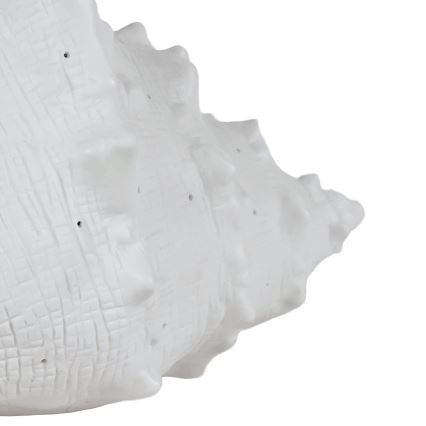 ONLI - Bordlampe PORCELLANA 1xE14/6W/230V 29 cm muslingeskal