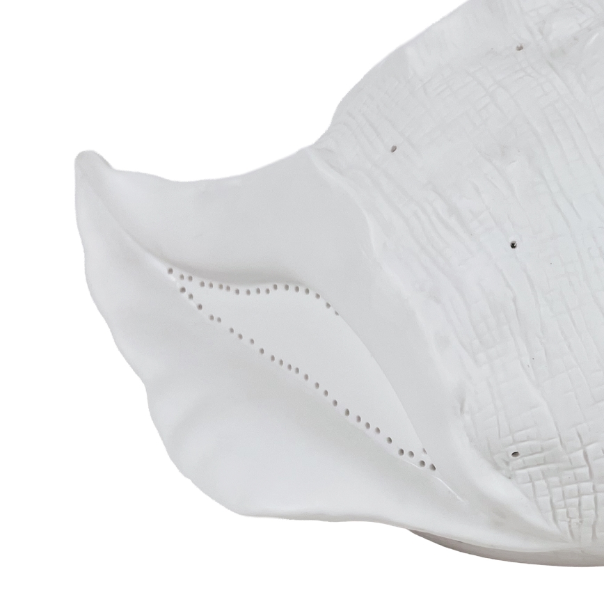 ONLI - Bordlampe PORCELLANA 1xE14/6W/230V 29 cm muslingeskal