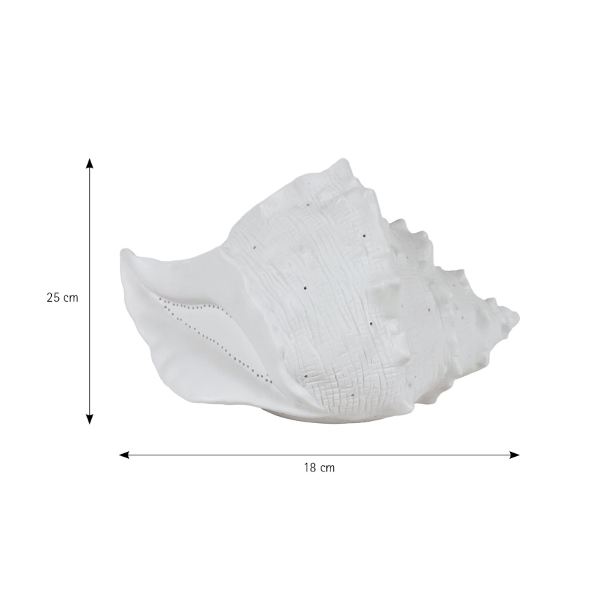 ONLI - Bordlampe PORCELLANA 1xE14/6W/230V 29 cm muslingeskal