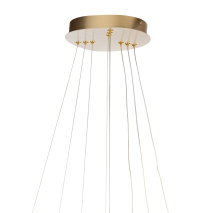 ONLI - LED-pendel på wire NOELIA LED/40W/230V guld