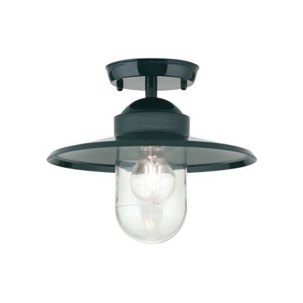 Udendørs loftlampe EDWARD 1xE27/60W/230V IP44 grøn