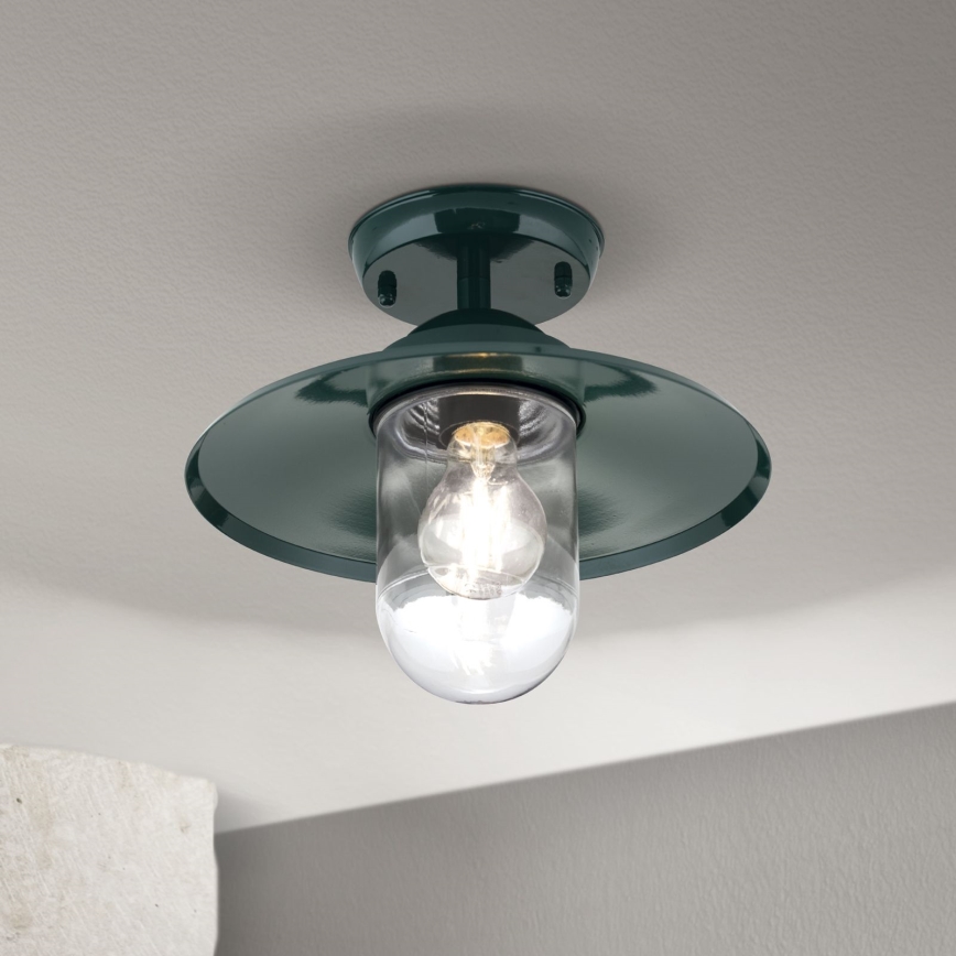 Udendørs loftlampe EDWARD 1xE27/60W/230V IP44 grøn