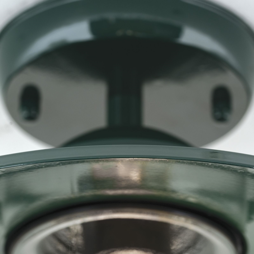 Udendørs loftlampe EDWARD 1xE27/60W/230V IP44 grøn