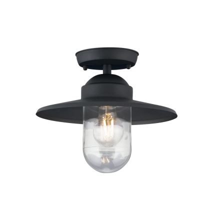 Udendørs loftlampe EDWARD 1xE27/60W/230V IP44 sort