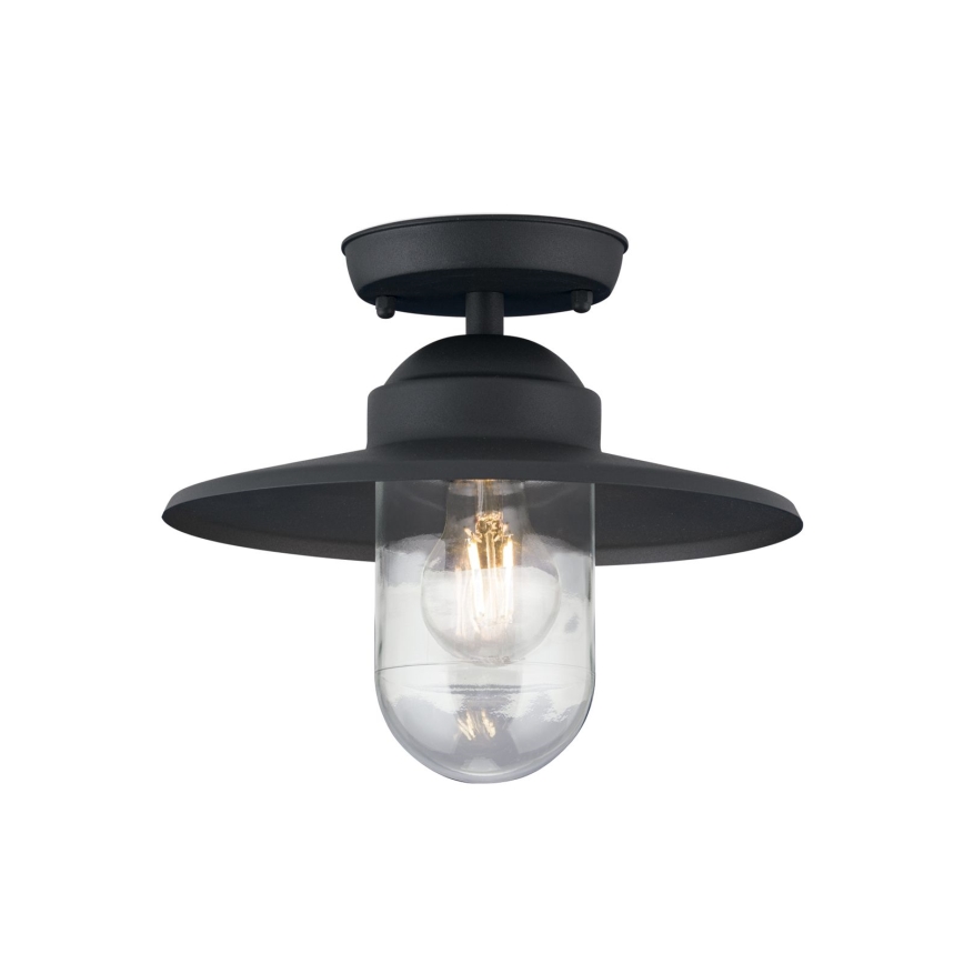 Udendørs loftlampe EDWARD 1xE27/60W/230V IP44 sort