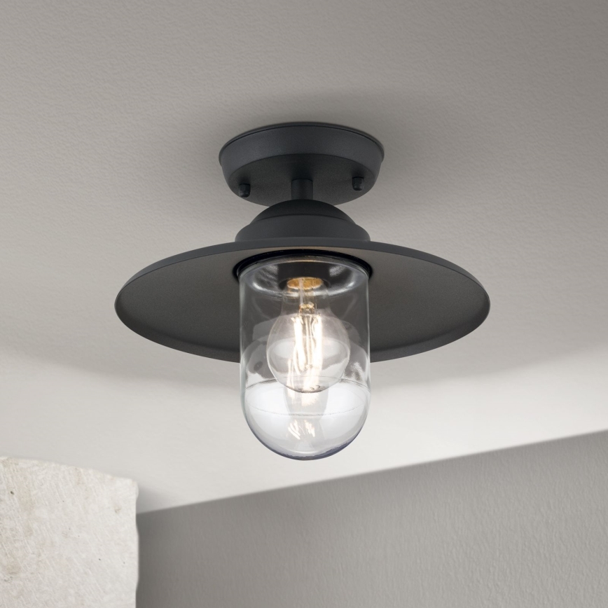 Udendørs loftlampe EDWARD 1xE27/60W/230V IP44 sort