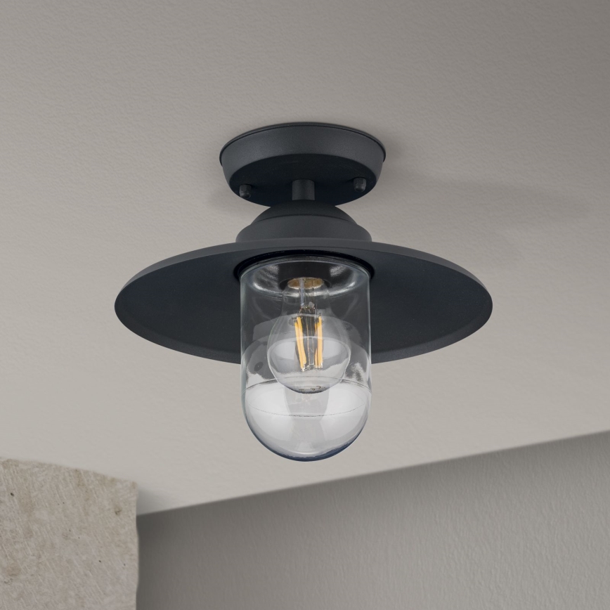 Udendørs loftlampe EDWARD 1xE27/60W/230V IP44 sort