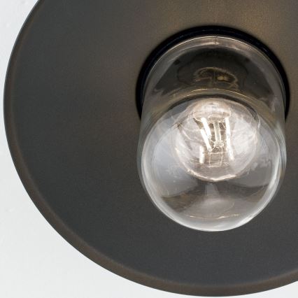 Udendørs loftlampe EDWARD 1xE27/60W/230V IP44 sort