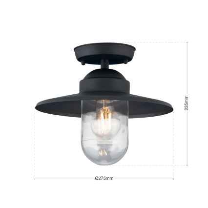 Udendørs loftlampe EDWARD 1xE27/60W/230V IP44 sort