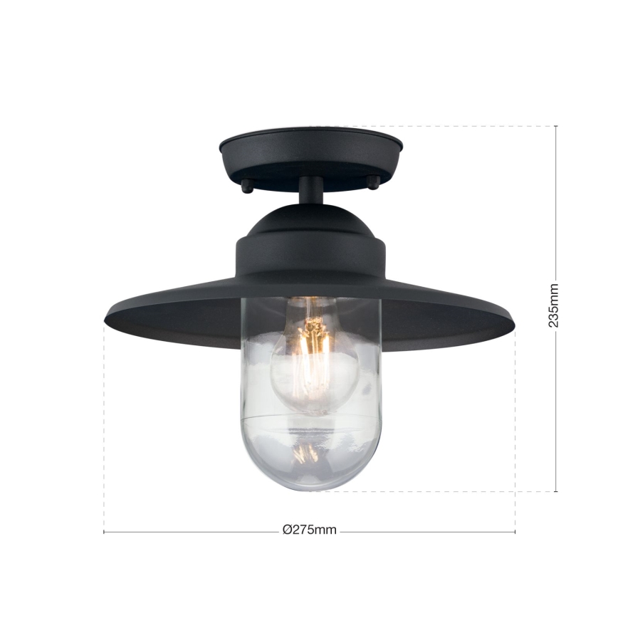 Udendørs loftlampe EDWARD 1xE27/60W/230V IP44 sort