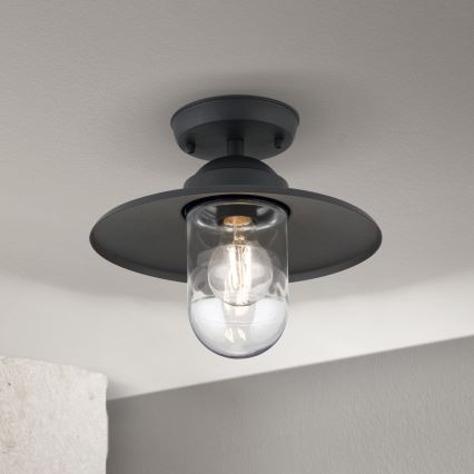 Udendørs påbygningslampe EDWARD 1xE27/60W/230V IP44 antracit