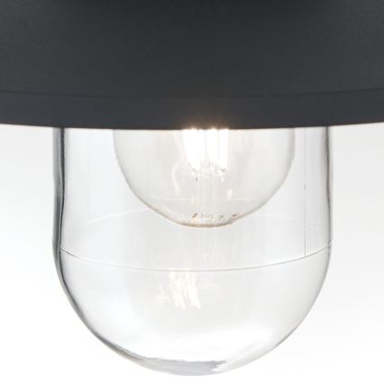 Udendørs pendellampe EDWARD 1xE27/60W/230V IP44 sort