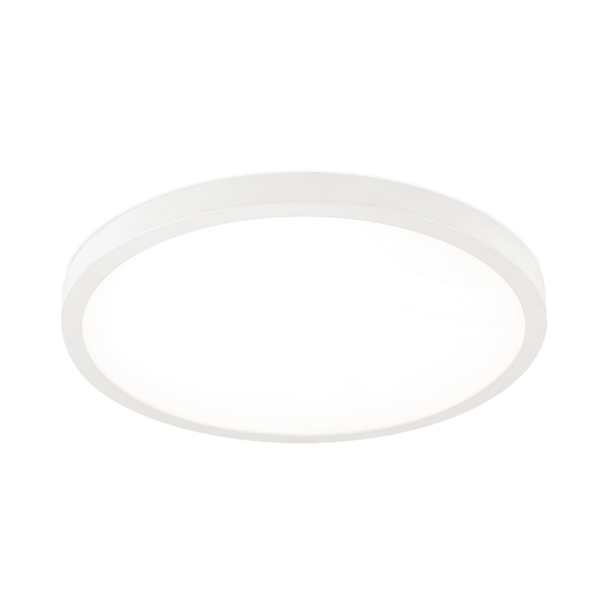 LED-dæmpbar loftlampe DISC LED/30W/230V 2700/3000/4000K Ø 40 cm hvid