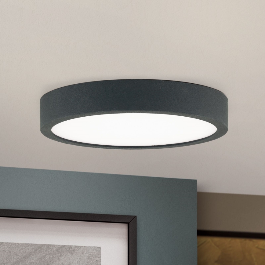 LED loftlampe BULLY LED/12W/230V diameter 14 cm sort