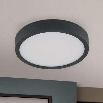 LED loftlampe BULLY LED/12W/230V diameter 14 cm sort