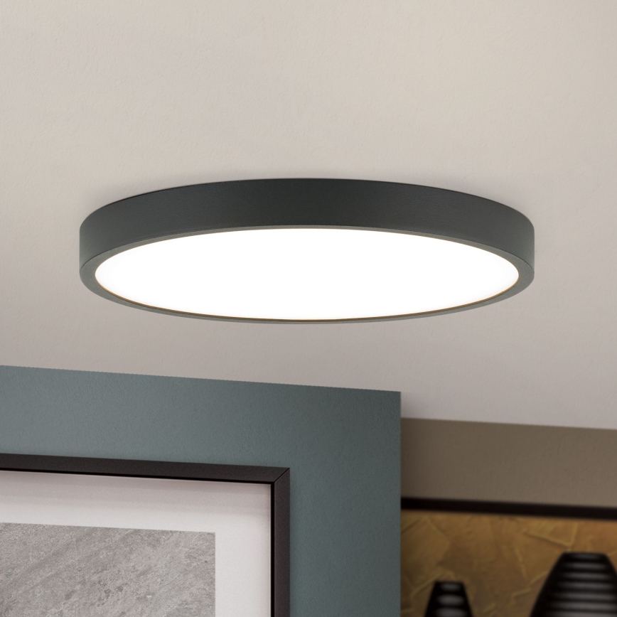 LED loftlampe BULLY LED/24W/230V diameter 24 cm sort