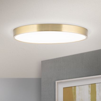 LED loftlampe BULLY LED/28W/230V diameter 28 cm guldfarvet