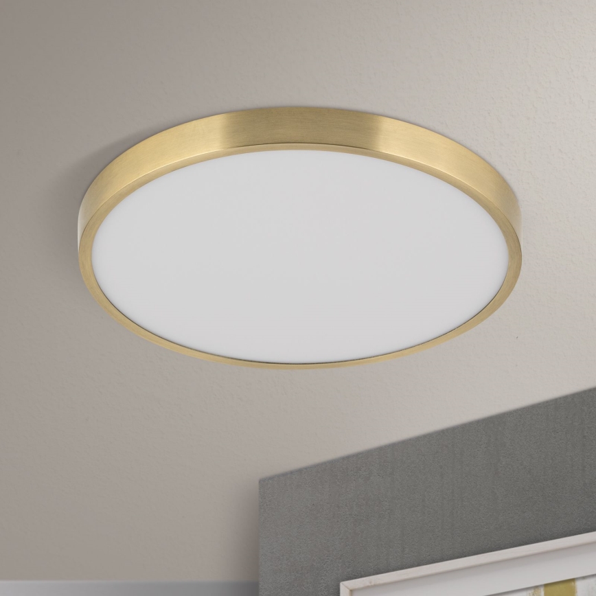 LED loftlampe BULLY LED/28W/230V diameter 28 cm guldfarvet