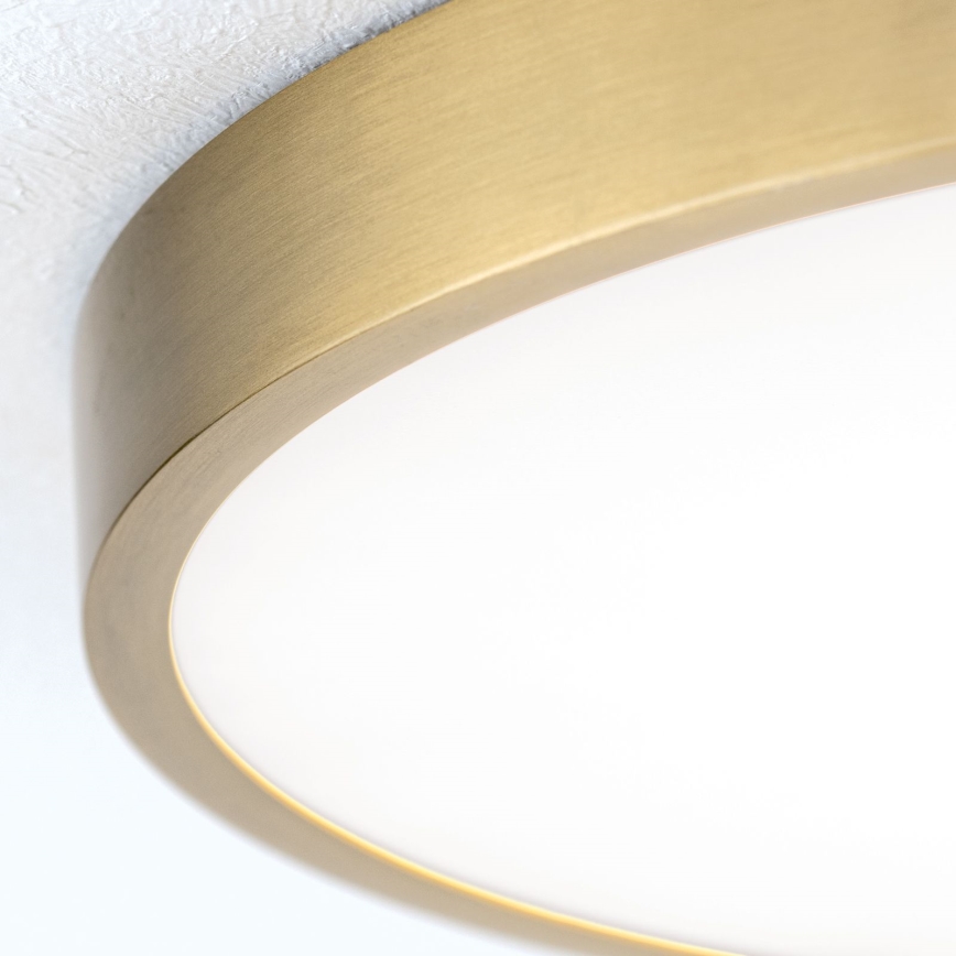 LED loftlampe BULLY LED/28W/230V diameter 28 cm guldfarvet