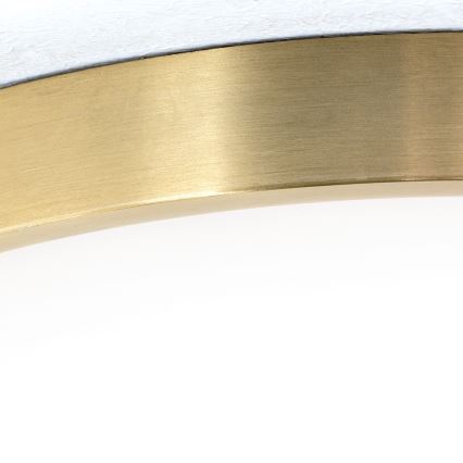 LED loftlampe BULLY LED/28W/230V diameter 28 cm guldfarvet