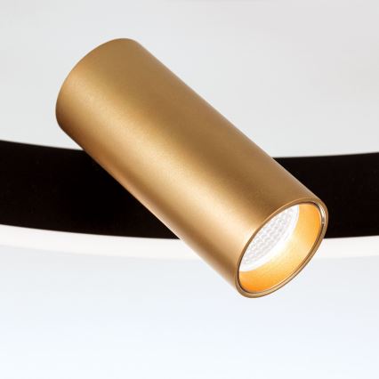 LED Dæmpbar loftlampe BERLIN LED/50W/230V sort/guld