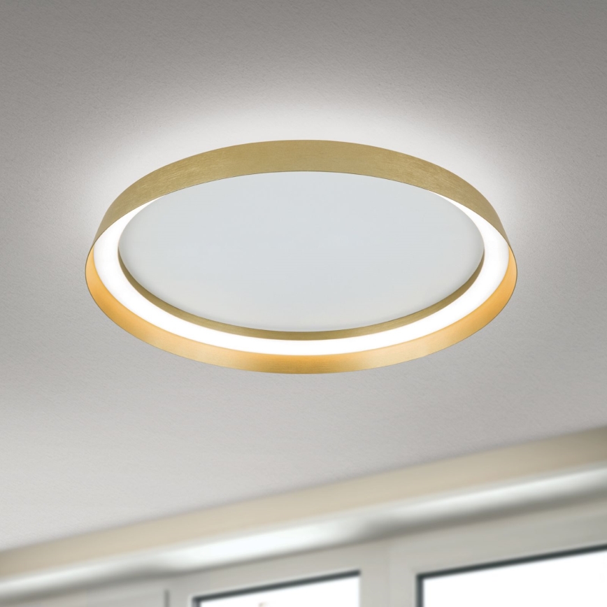LED loftlampe dæmpbar MANTA LED/38W/230V 2700/3000/4000K diameter 45 cm guldfarvet