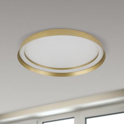 LED loftlampe dæmpbar MANTA LED/38W/230V 2700/3000/4000K diameter 45 cm guldfarvet