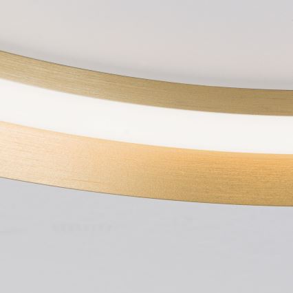 LED loftlampe dæmpbar MANTA LED/38W/230V 2700/3000/4000K diameter 45 cm guldfarvet