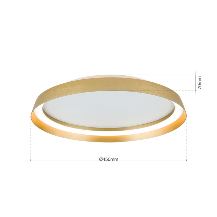 LED loftlampe dæmpbar MANTA LED/38W/230V 2700/3000/4000K diameter 45 cm guldfarvet