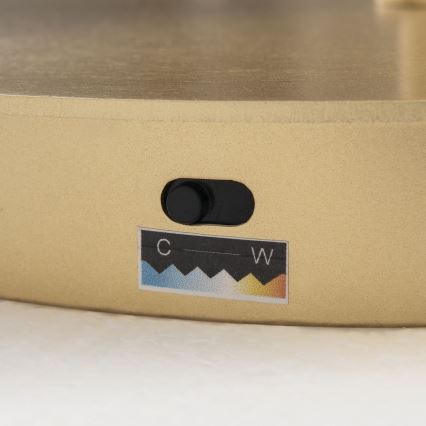 LED-dæmpbar gulvlampe KOLK LED/40W/230V 2700/4000K guld