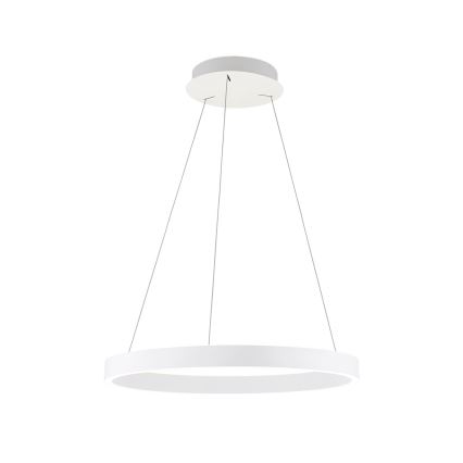 Orion - LED dæmpbar pendel på wire KOLK LED/60W/230V 2700/3000/4000K Ø 60 cm hvid
