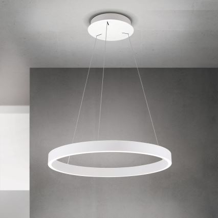 Orion - LED dæmpbar pendel på wire KOLK LED/60W/230V 2700/3000/4000K Ø 60 cm hvid