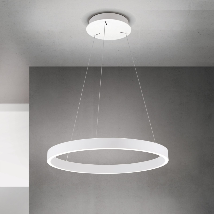 Orion - LED dæmpbar pendel på wire KOLK LED/60W/230V 2700/3000/4000K Ø 60 cm hvid