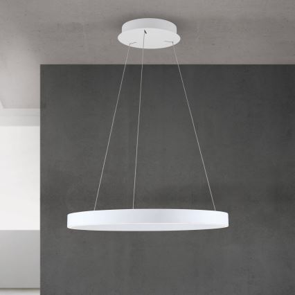 Orion - LED dæmpbar pendel på wire KOLK LED/60W/230V 2700/3000/4000K Ø 60 cm hvid