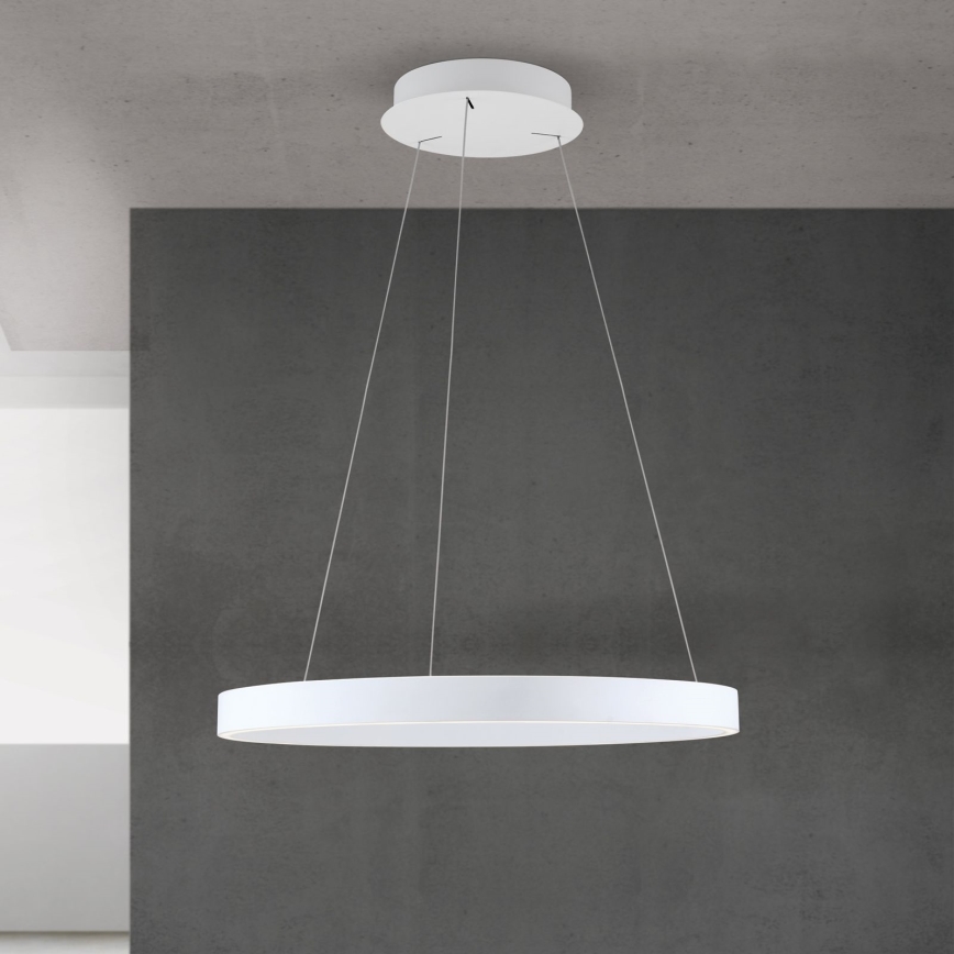 Orion - LED dæmpbar pendel på wire KOLK LED/60W/230V 2700/3000/4000K Ø 60 cm hvid