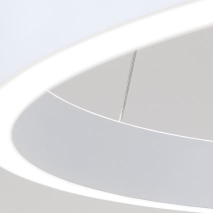 Orion - LED dæmpbar pendel på wire KOLK LED/60W/230V 2700/3000/4000K Ø 60 cm hvid