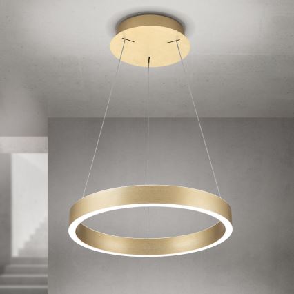 Orion - dæmpbar LED-pendel på wire KOLK LED/40W/230V 2700/3000/4000K Ø 40 cm guld