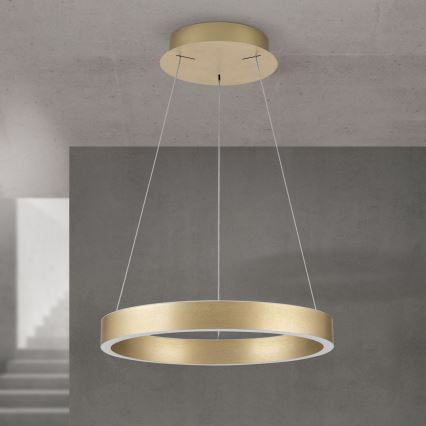 Orion - dæmpbar LED-pendel på wire KOLK LED/40W/230V 2700/3000/4000K Ø 40 cm guld