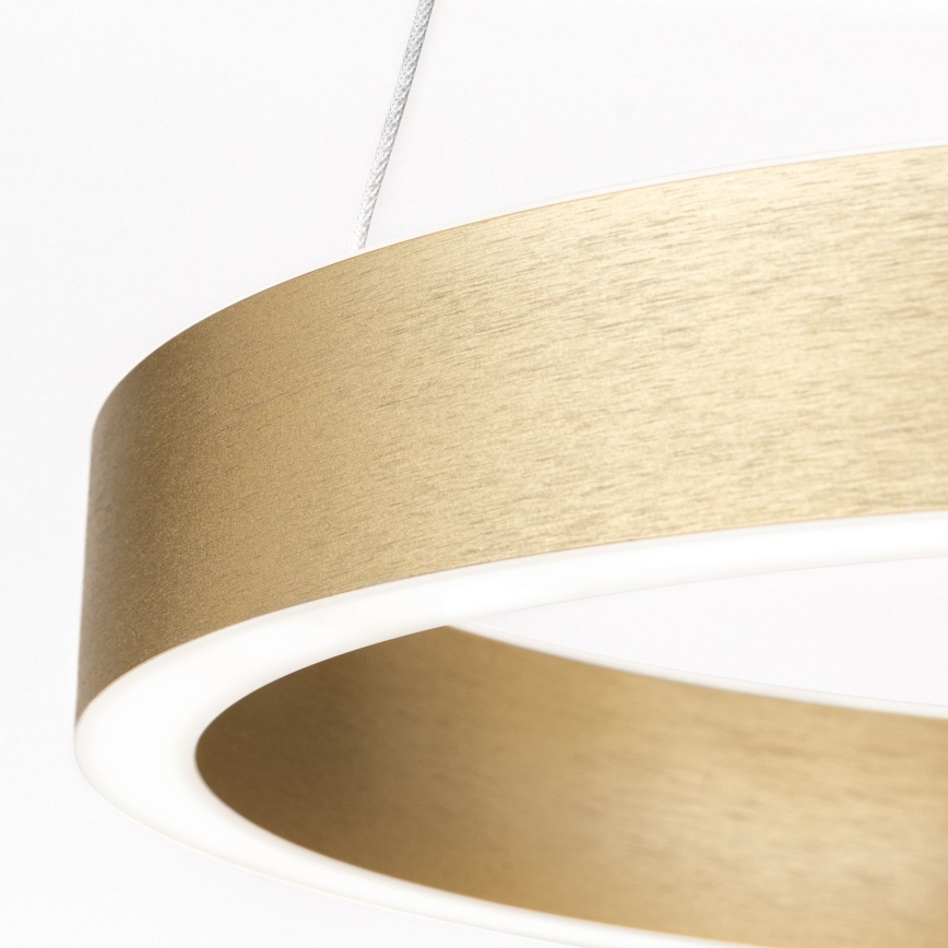 Orion - dæmpbar LED-pendel på wire KOLK LED/40W/230V 2700/3000/4000K Ø 40 cm guld