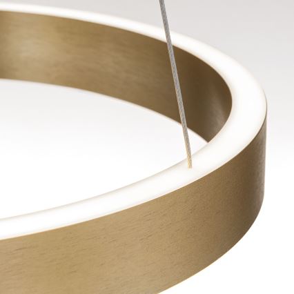 Orion - dæmpbar LED-pendel på wire KOLK LED/40W/230V 2700/3000/4000K Ø 40 cm guld