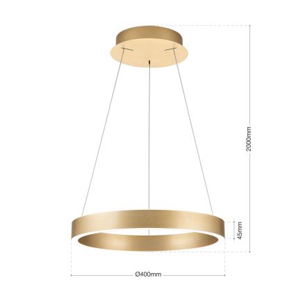 Orion - dæmpbar LED-pendel på wire KOLK LED/40W/230V 2700/3000/4000K Ø 40 cm guld