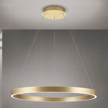 Orion - dæmpbar LED-pendel på wire KOLK LED/80W/230V 2700/3000/4000K Ø 80 cm, guld