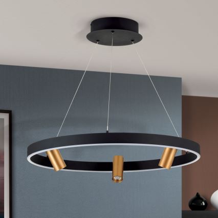 LED Dæmpbar loftslampe på kabel BERLIN LED/50W/230V sort/guld