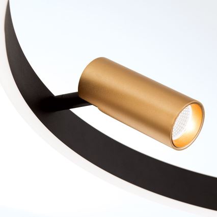 LED Dæmpbar loftslampe på kabel BERLIN LED/50W/230V sort/guld