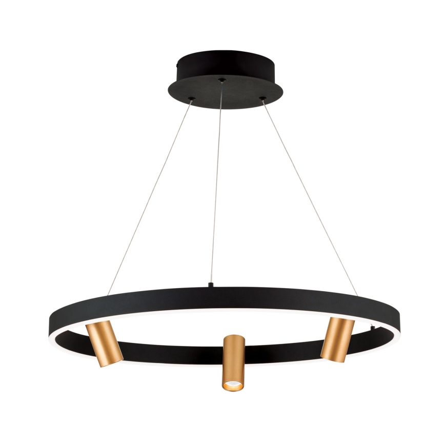 LED pendel dæmpbar BERLIN LED/50W/230V sort/guldfarvet