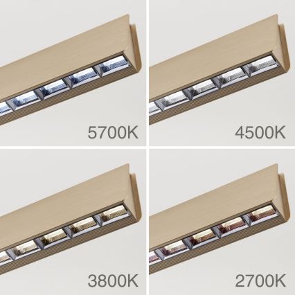 LED pendel dæmpbar TARA LED/44W/230V 2700/3800/4500/5700K guldfarvet