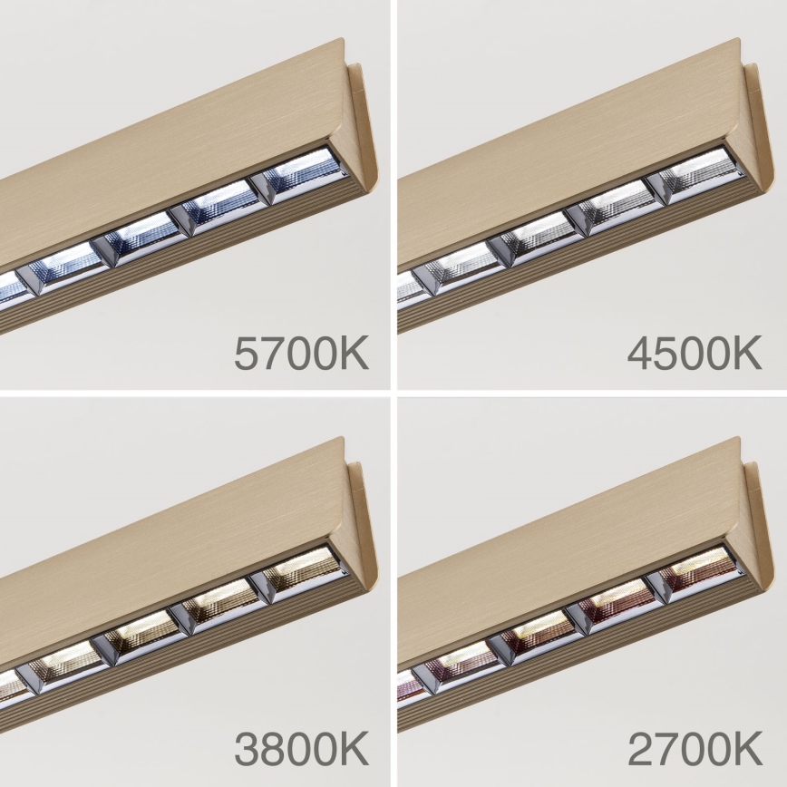 LED pendel dæmpbar TARA LED/44W/230V 2700/3800/4500/5700K guldfarvet