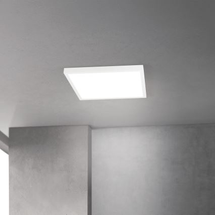 LED Dæmpbar loftlampe DISC LED/30W/230V 2700/3000/4000K 39x39 cm hvid